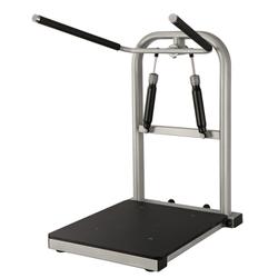 Тренажер для боковых сгибаний Aerofit CEO-200 