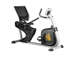 Велотренажер Hasttings Wega RS400