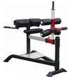 Римский стул Aerofit Sterling SL7013