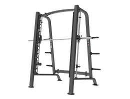 Машина Смита BRONZE GYM PL-1721