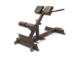 Гиперэкстензия BRONZE GYM AL-317