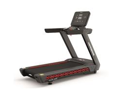 Беговая дорожка Ultra Gym UG-POWER 009