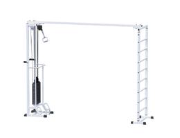 Биотонус + шведская стенка (стек 100 кг) AR087.1х2400