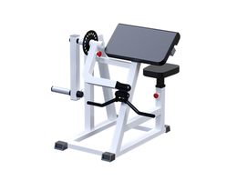 Бицепс-трицепс маятниковый AR019.3