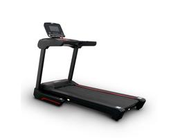 Электрическая беговая дорожка Everyfit 75005LT