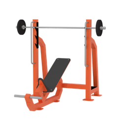 Скамья для жима под углом 20 кг Iron King S202