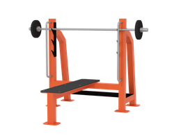 Скамья для жима 30 кг Iron King S201